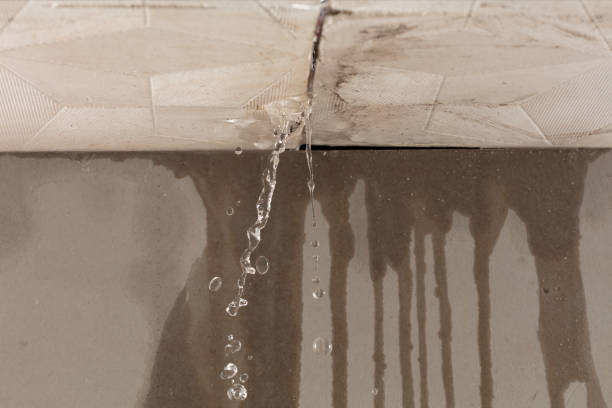 Professional Water Damage Inspection technician working in Manns Harbor, NC